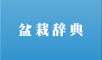 �~�͎��T