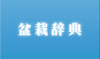 �~�͎��T