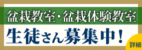 �~�͋����E�~�͑̌������@���k�����W��